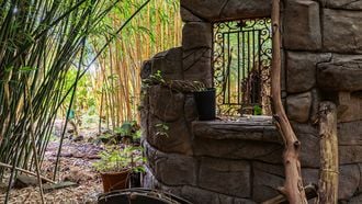 Funda-parel met label A kost €375.000 met jungle in achtertuin