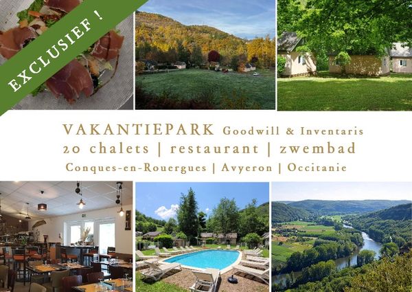 vakantiepark zuid frankrijk te koop 443500 euro 20 chalets zwembad restaurant bar natuur