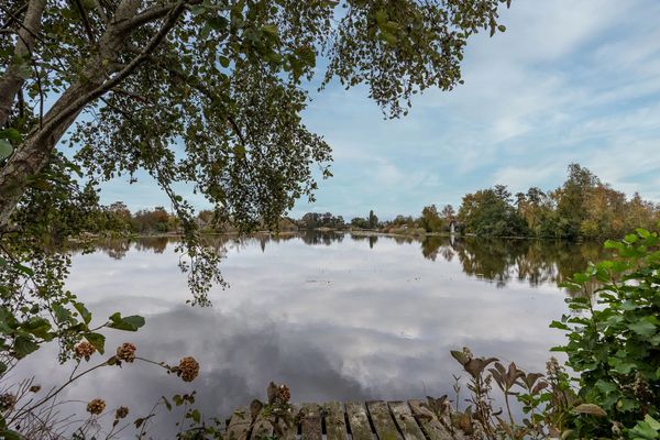 huis eiland kopen funda steiger loosdrechtse plassen (2)
