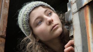 Onverwachte Netflix-parel heeft 100% Rotten Tomatoes-record