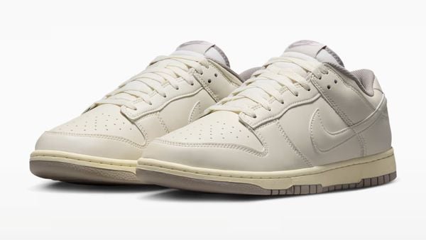 Nike Dunk Low Retro 'Soft Pearl College Grey' nieuwe sneakers stijl vintagewinkel 120 euro