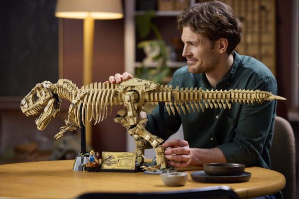 LEGO Jurassic World 76968 Dinosaur Fossils- Tyrannosaurus rex