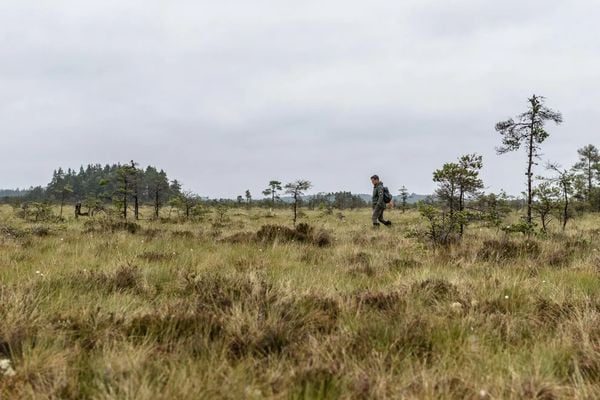 store mosse nationaal park huis kopen zweden