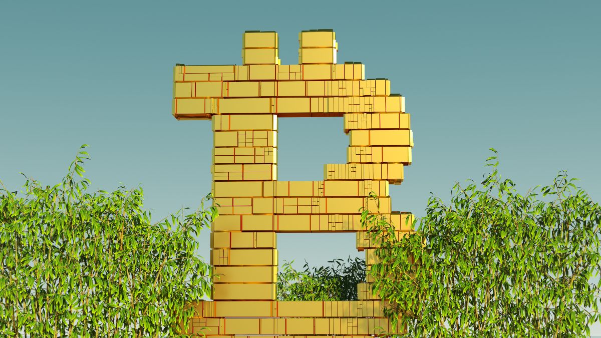 5 gevaren van crypto die je moet kennen voordat je investeert