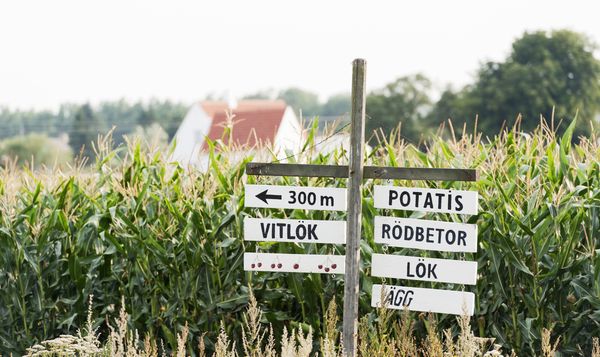 villa kopen zweden groenten niet duur