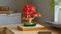 LEGO Icons 10348 Japanese Red Maple Bonsai Tree
