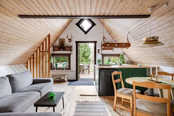huis in zweden kopen natuur hut (9)