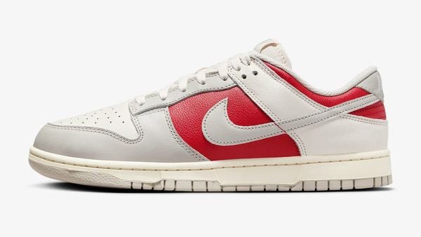 nike dunk low retro nieuwe sneakers met korting in herfst-sale 2024