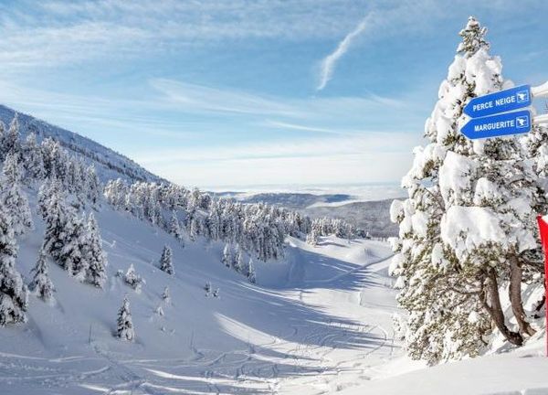 skigebied goedkoopste van europa dagpas accomodatie holidu villarddelans