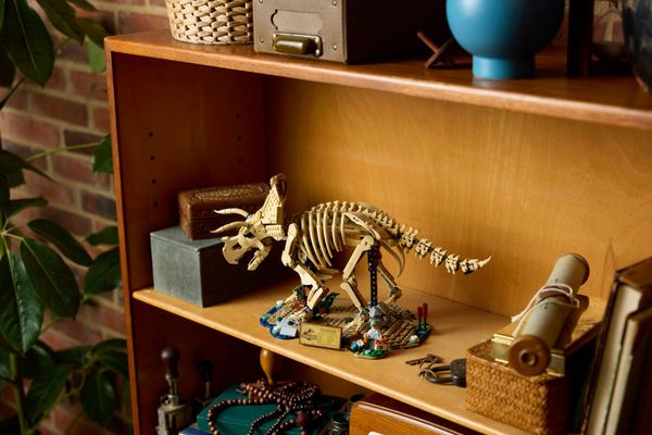 LEGO Jurassic World 77985 Dinosaur Fossils- Triceratops copy