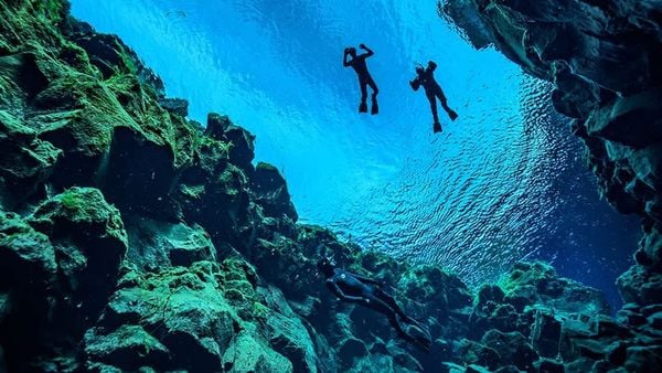beste activiteiten op aarde ervaringen reizen tripadvisor