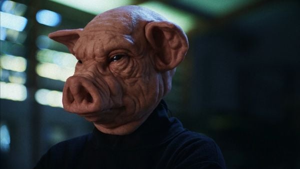 Van varkensstallen tot Tokio- docuserie ontmaskert Nederlandse drugsindustrie