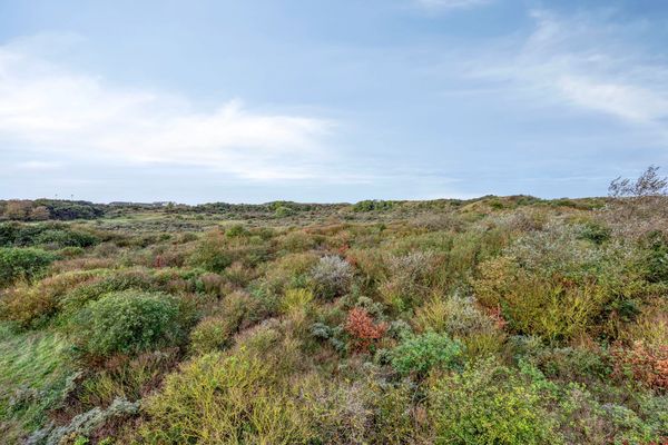 funda parel aan zee duinen natuur noord-holland
