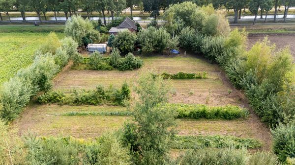 funda nieuw amsterdam drenthe bio boer groenten groot perceel (11)