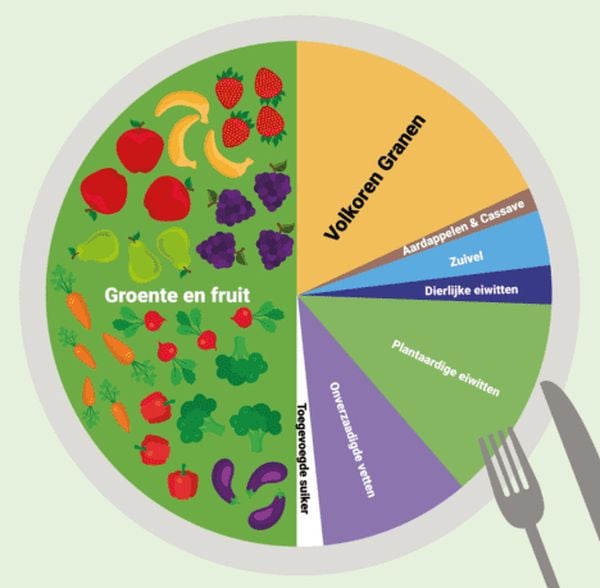 eat lancet dieet wetenschap beste dieet mensheid