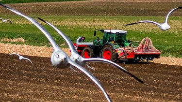 Stikstofuitstoot per EU-land Nederland hervindt boerenverstand