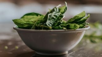 Acht voorbeelden van ijzerrijke voeding en waarom het gezond is