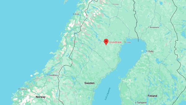 zweden bos hut moeras grond zelfvoorzienend leven