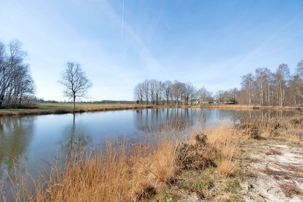 funda bungalow natuurgebied drenthe vrij uitzicht bos lap grond groot perceel