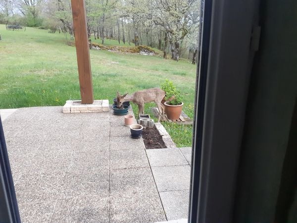 huis in frankrijk kopen natuurgebied midden-frankrijk zwembad