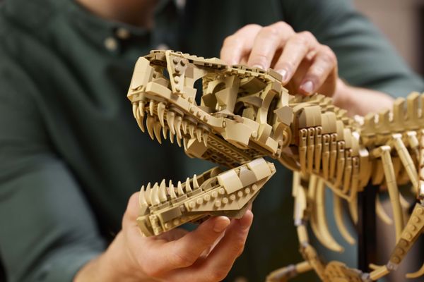 LEGO Jurassic World 76968 Dinosaur Fossils- Tyrannosaurus rex