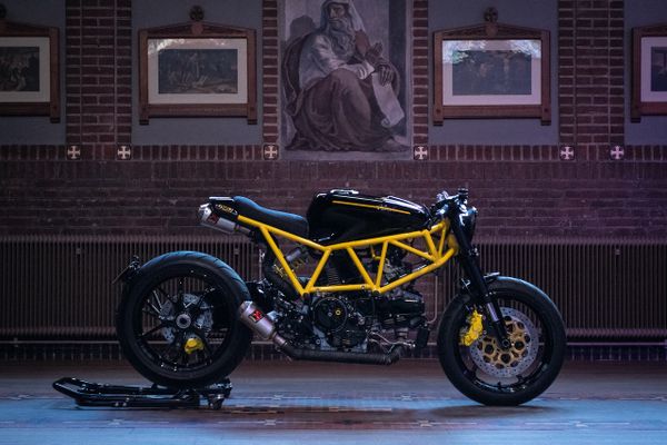 drie brute custom bikes