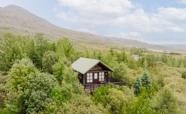 ijsland huis kopen natuur blokhut woningmarkt (10)