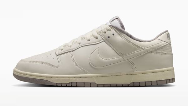 Nike Dunk Low Retro 'Soft Pearl College Grey' nieuwe sneakers stijl vintagewinkel 120 euro