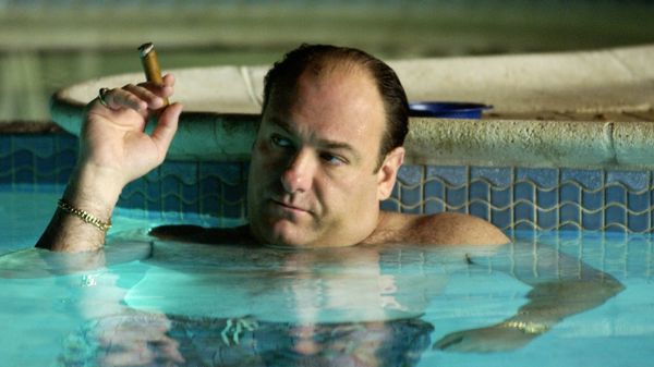 tony soprano, sopranos, zwembad in je tuin, pool, lidl, korting