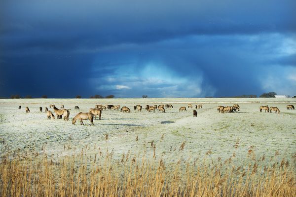 mooiste hike van Nederland waddenzee zoutpad Lauwersmeer friesland groningen langeafstandspad (2)