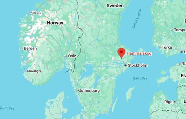 zweden huis kopen boomhut woning vakantiehuis