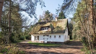 funda huis villa belgie kempen mol villa groot perceel bos natuur (7)