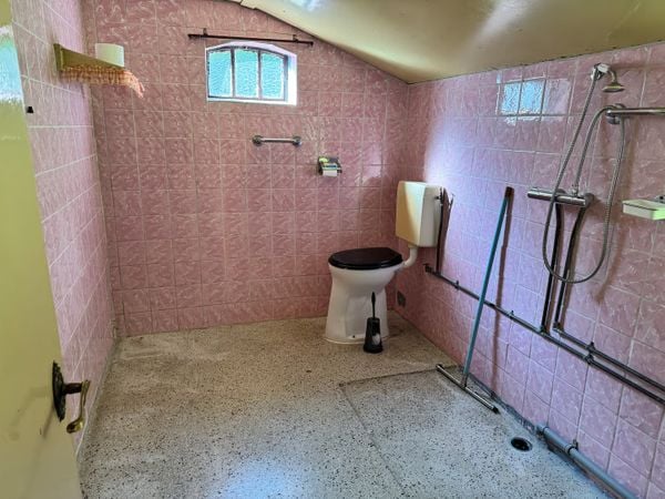 funda bos woning drenthe friesland huis grond woonbestemming (8)