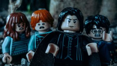 Deze 18+ LEGO Harry Potter-sets houden je zoet tot de reboot