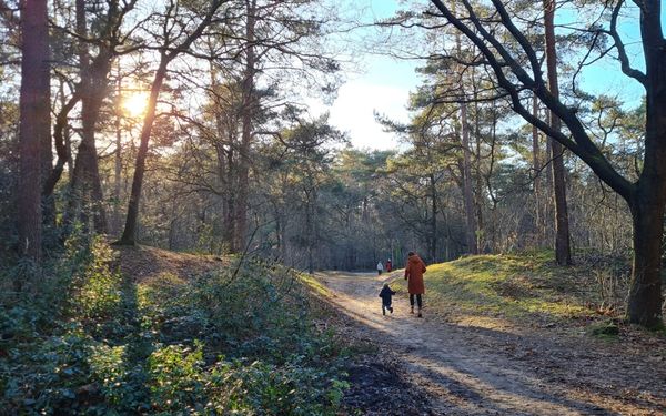funda natuur energielabel b huis kopen
