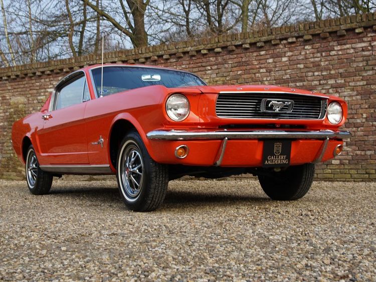 Tweedehands Ford Mustang 2+2 Fastback occasion