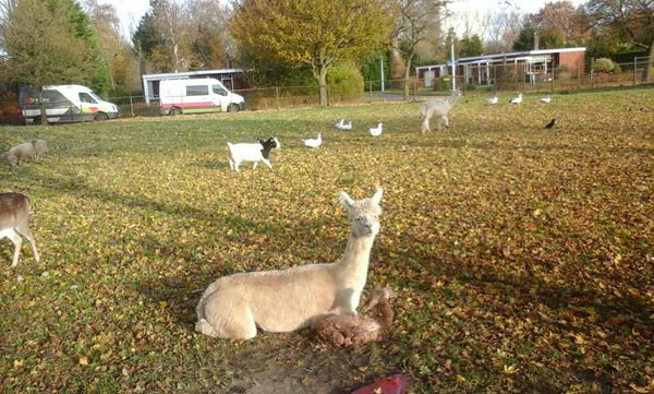 funda huis kopen energielabel a duurzaam modern bedum groningen (9)