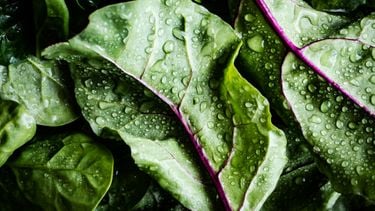 Vier goedkope superfoods om aan je dagelijkse eten toe te voegen