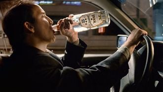 alcoholmeter enkelband misdaad criminelen (2)