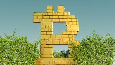 Wall Street-spiekbriefje vol emoties en verklaart Bitcoin-mania 2024