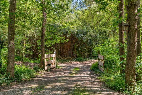 funda huis bos natuur drenthe norg duurzaam energielabel A (9)