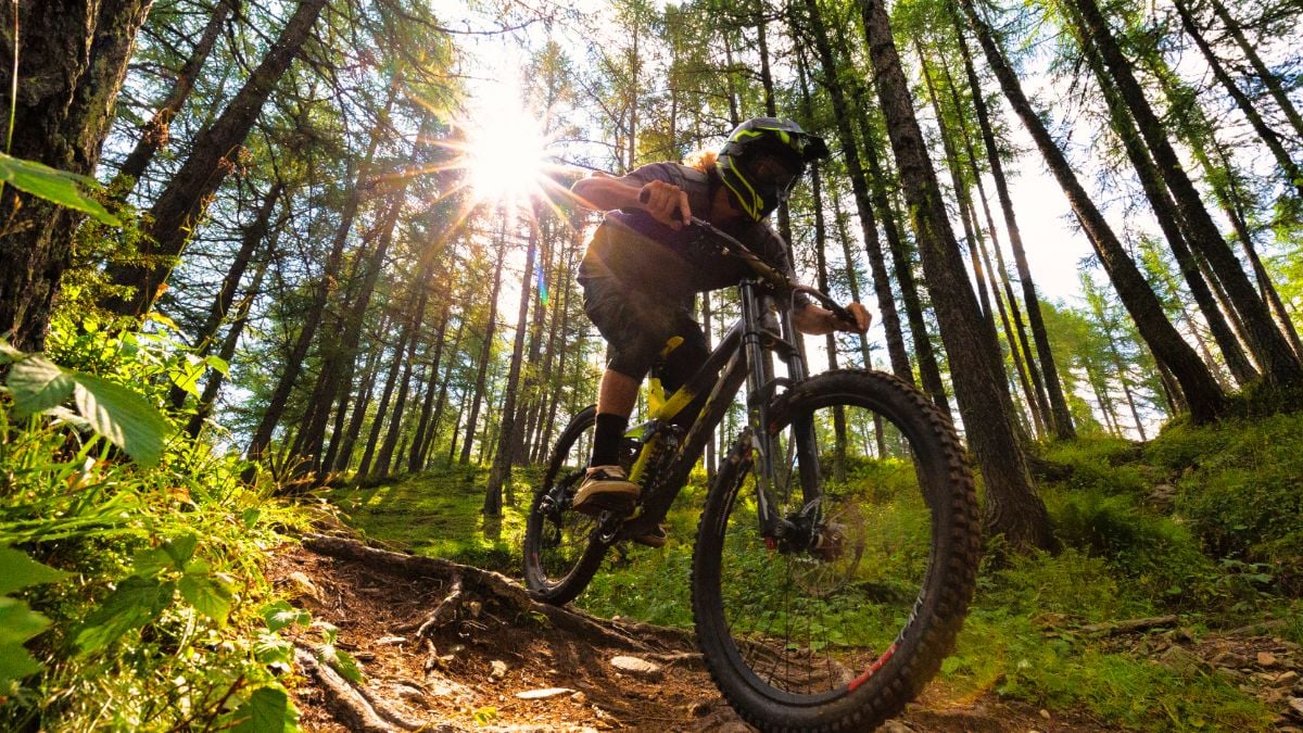acoustic guitar ir pedal Friedman IR-X Dual Tube Preamp & DI Style:Silver Its exceptional audio quality TRAILTECH Mountainbiking Harz Year_2019_Make_Ford_Model_Transit Connect_Engine_2.0L Gas