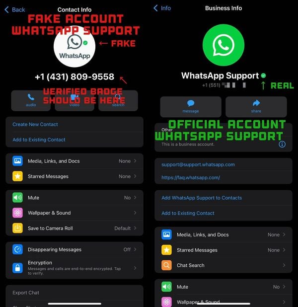 whatsapp support account, waarschuwing, nepaccounts