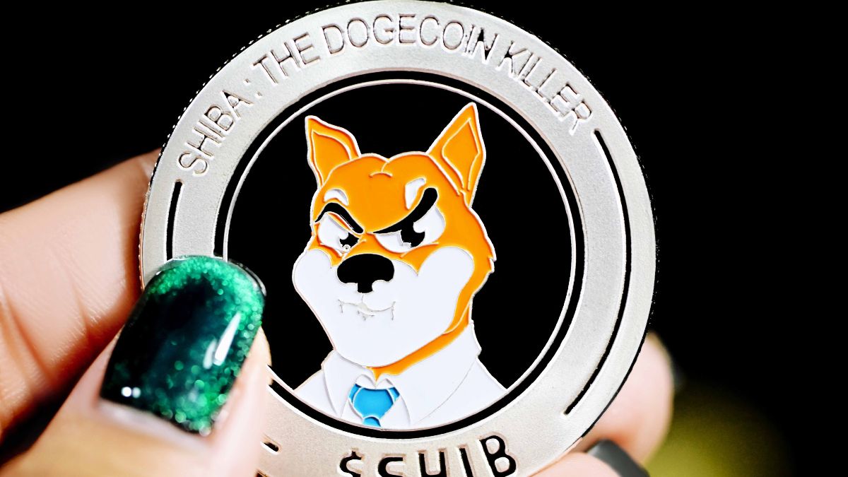 Shiba Inu-crypto met 28 miljoen procent gestegen: dit is waardoor