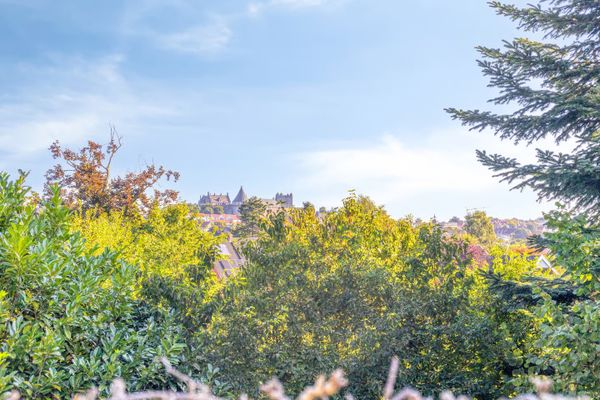 funda natuur duitsland sauna zwembad groen vrij uitzicht (8)