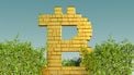 Wall Street-spiekbriefje vol emoties en verklaart Bitcoin-mania 2024