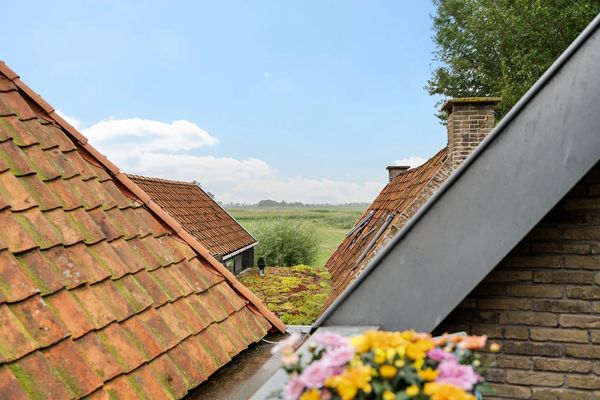 funda gerard reve schrijvershuis friesland greonterp (14)