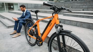 palm verlamming Picknicken Test: dit zijn de beste elektrische fietsen op de Nederlandse markt