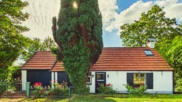 Funda-parel à €295.000 met prachttuin biedt vrij leven in de natuur