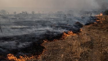 Dit is ons klimaat in 2100: horrorzomer 2026 is pas het begin